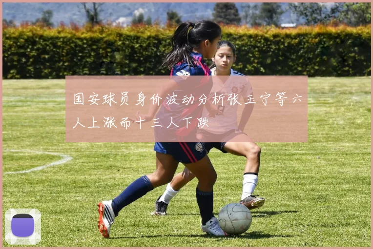国安球员身价波动分析张玉宁等六人上涨而十三人下跌